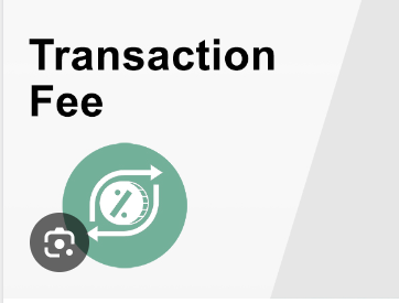 Payment Transaction Fees Policy
