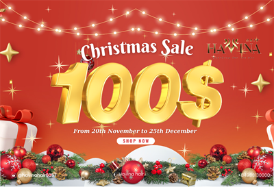 Up to $100 Discount Program for Christmas at Havina Hair