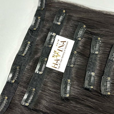 Clip-in hair Extension